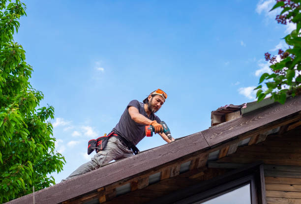 Best Roof Maintenance and Cleaning  in Lumberton, NC