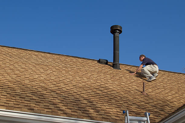 Best Roof Moss and Algae Removal  in Lumberton, NC